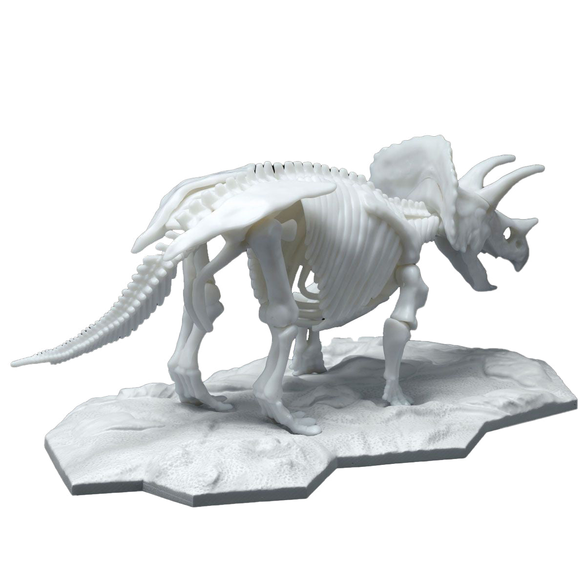 Bandai Spirits Limex Triceratops Dinosaur Skeleton Plastic Model Kit - image 2