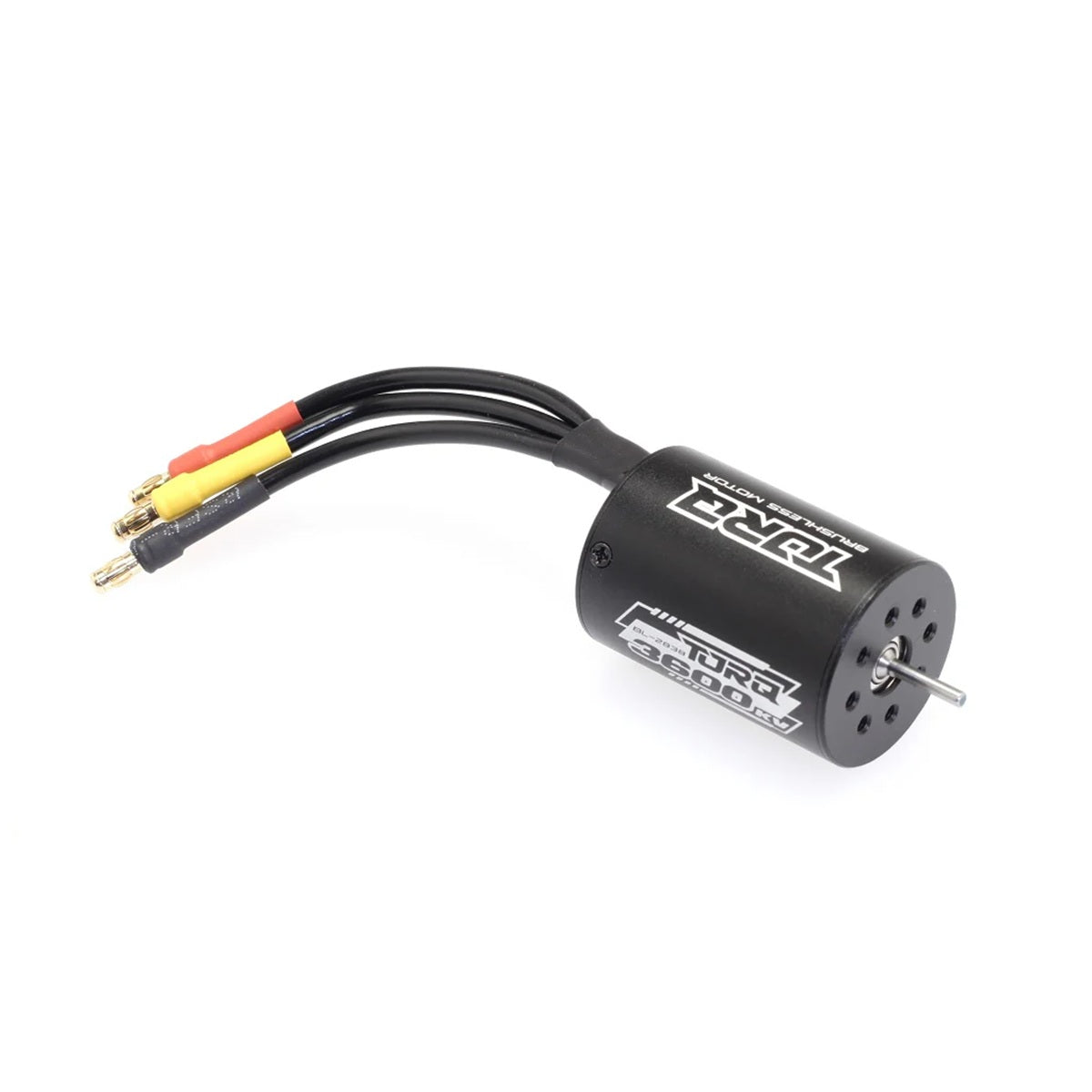 CEN Racing 2838 3600KV Brushless Motor - 1/16 Scale OEM Part CQ0860