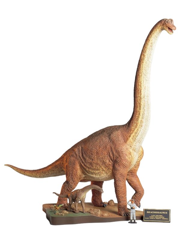 Tamiya 1/35 Brachiosaurus Dinosaur Diorama Set Plastic Model Kit