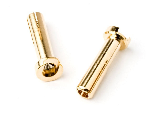 TQ Wire 4mm Male Bullets Low Profile – Gold, 14mm | RC Connectors