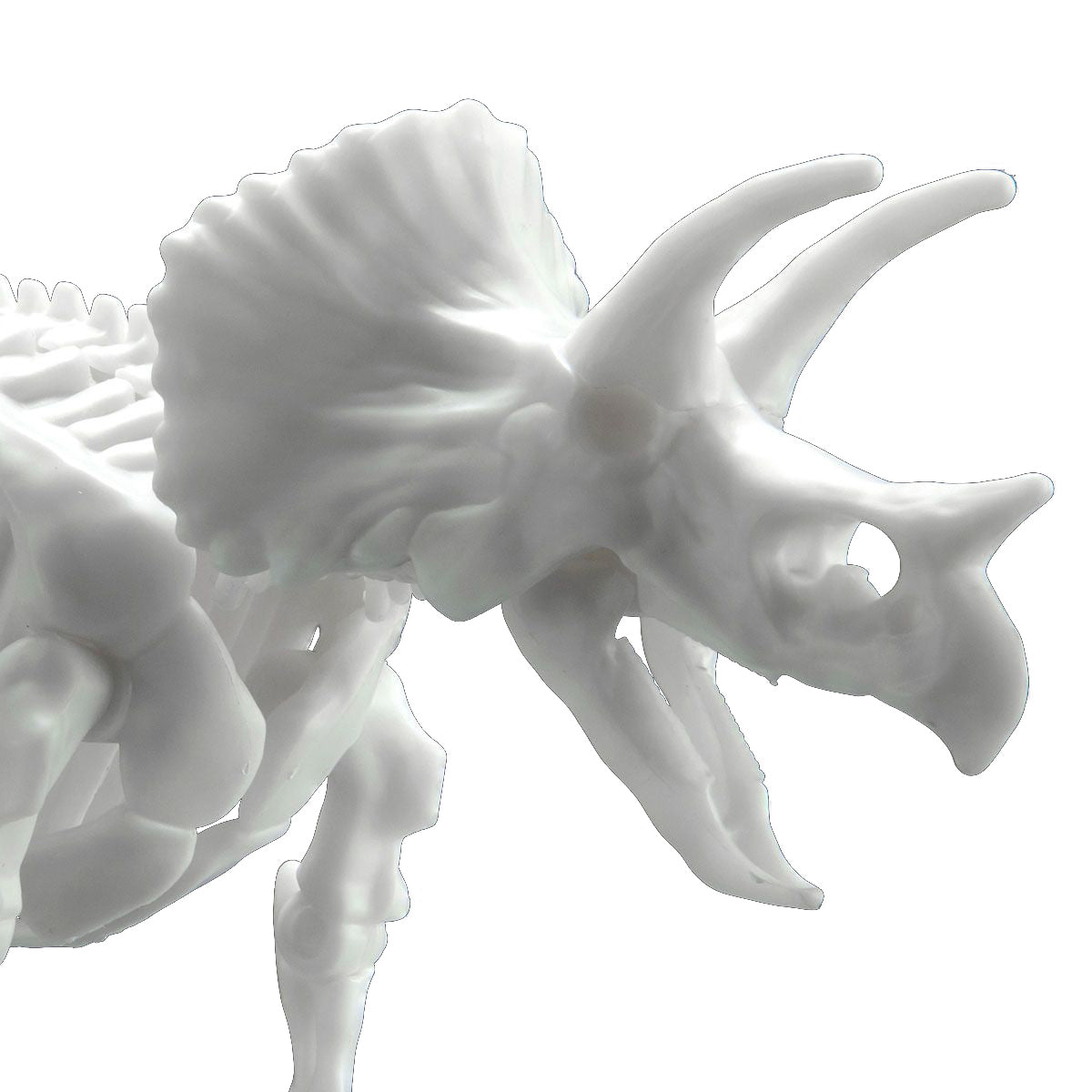 Bandai Spirits Limex Triceratops Dinosaur Skeleton Plastic Model Kit - image 3