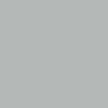 Mission Models Acrylic Model Paint 1 oz bottle, Silver Acrylic Hobby Paint