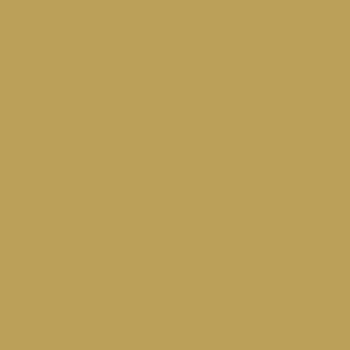 Mission Models Acrylic Model Paint 1 oz bottle, Dunkelgelb RAL 7028 Acrylic Hobby Paint