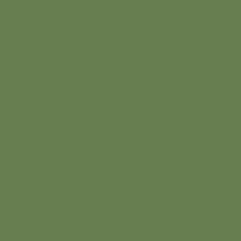 Mission Models Acrylic Model Paint 1 oz bottle, US Interior Green FS Acrylic Hobby Paint