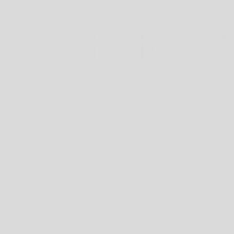 Mission Models Acrylic Model Paint 1 oz bottle, Light Gull Grey Gloss Acrylic Hobby Paint