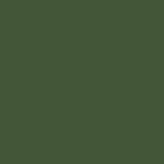 Mission Models Acrylic Model Paint 1 oz bottle, RAF dark Green Acrylic Hobby Paint