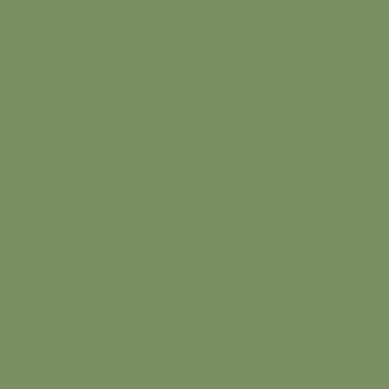 Mission Models Acrylic Model Paint 1 oz bottle, RAF Interior Green Acrylic Hobby Paint