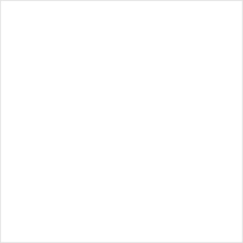 Mission Models Acrylic Model Paint 1 oz bottle, White Primer Acrylic Hobby Paint