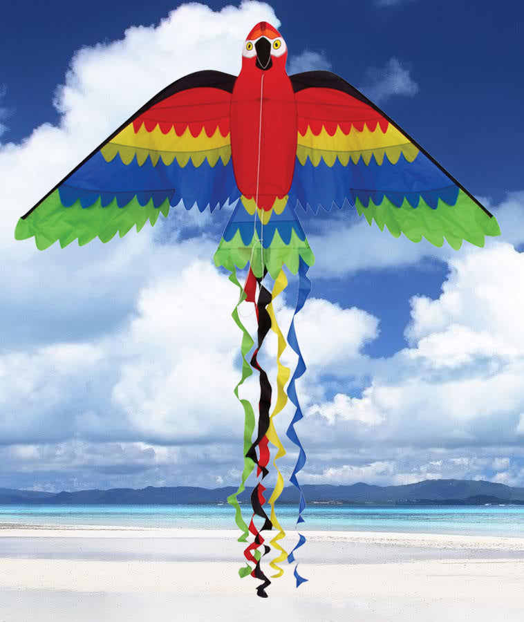 Skydog Kites Rainbow Parrot Default Title