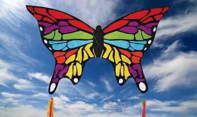 Skydog Kites Rainbow Butterfly Default Title