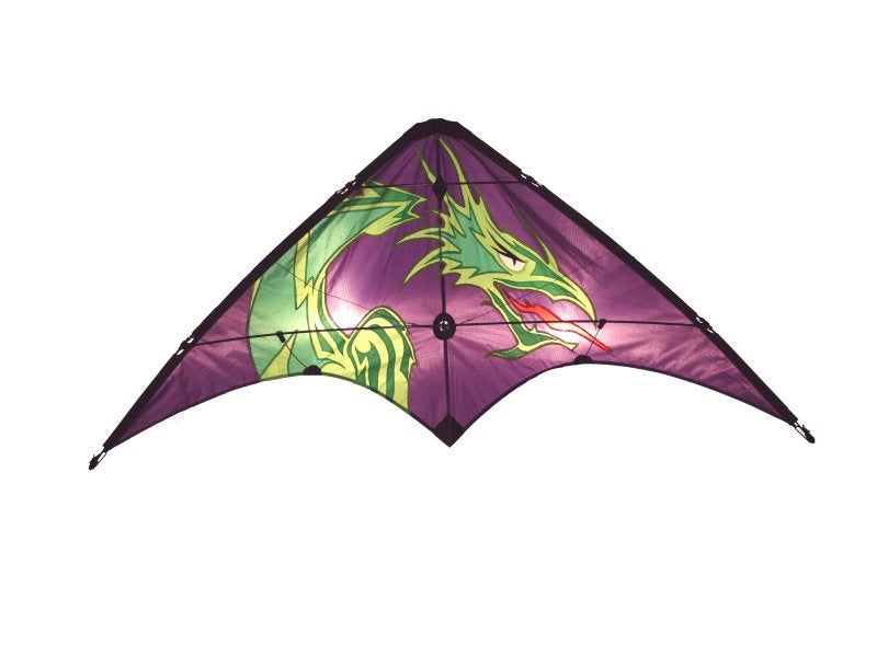 Skydog Kites Learn To Fly Dragon Default Title