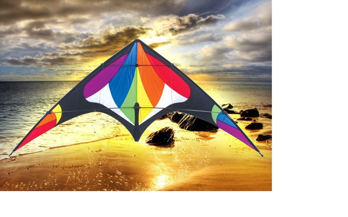 Skydog Kites Freebird Rainbow Default Title