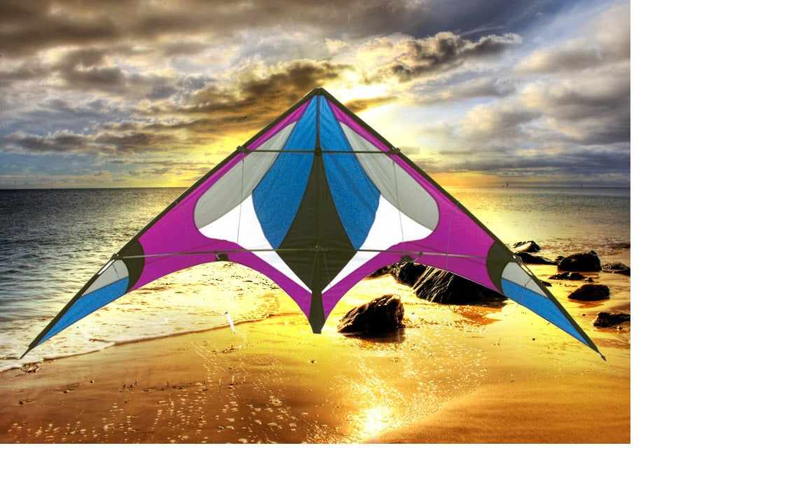 Skydog Kites Freebird Purple Default Title