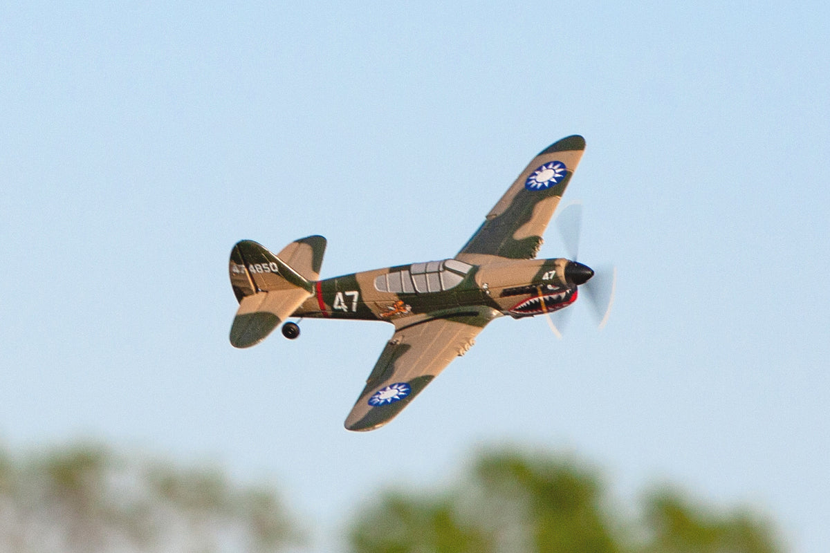 Rage RC Curtiss P-40 Warhawk Micro RTF Airplane w/PASS